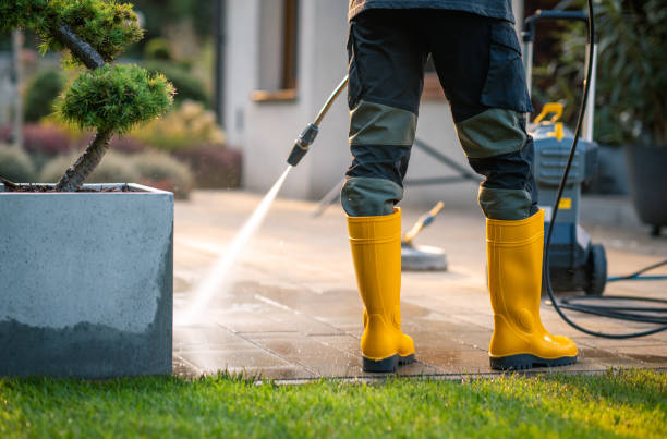 Best Roof Pressure Washing  in Krum, TX
